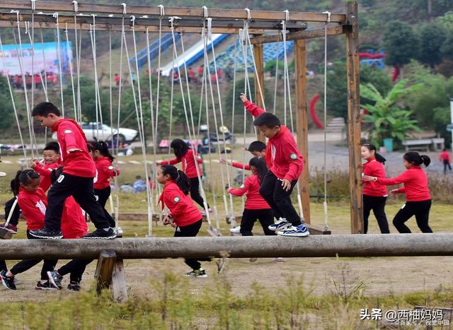 研学项目四大核心弊端与避坑指南：让每一分钱都花在刀刃上