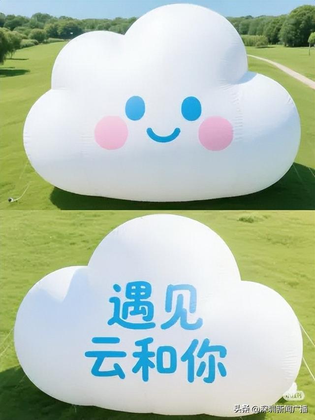 免费开放！持续21天！2025东湖公园菊花赏来啦~