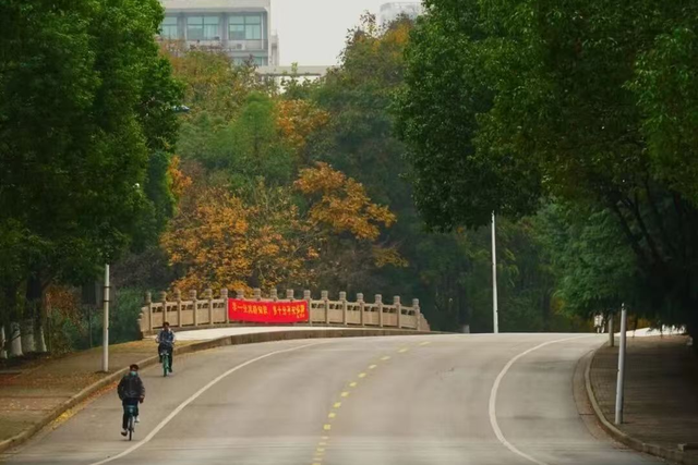 免费！无锡“巨无霸”公园火了