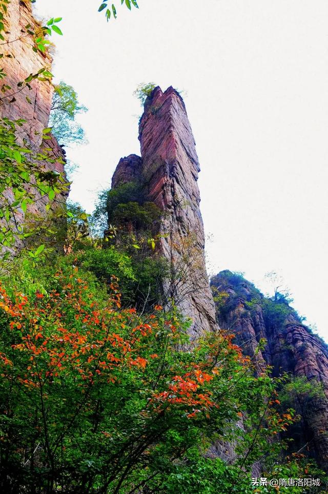 洛阳再上榜！跟着榜单游神都，最新攻略出炉！