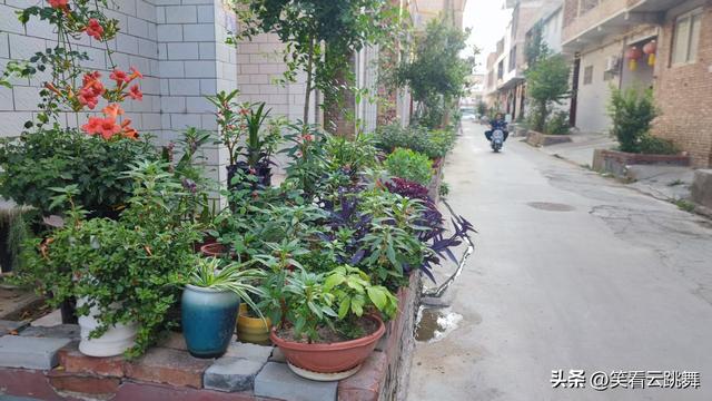 洛阳太后庄：对不起，现在才向大家介绍你，是我的错