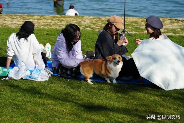 昆明十七公里外,藏着一个可以看“海”的白族村