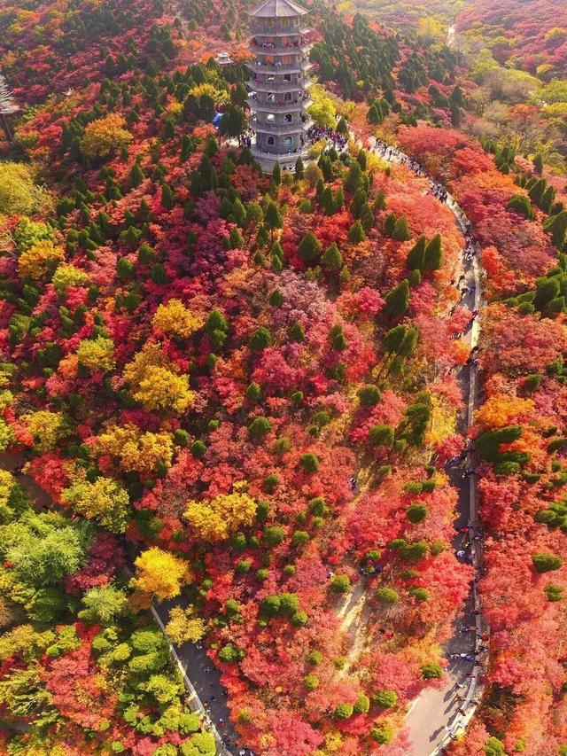 这样的济南，第一次见！