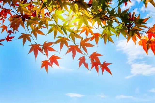 淄博6个登高爬山好去处推荐！