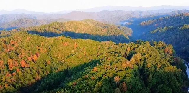 已进入最佳观赏期!邵阳这里美成油画,随手一拍就是壁纸