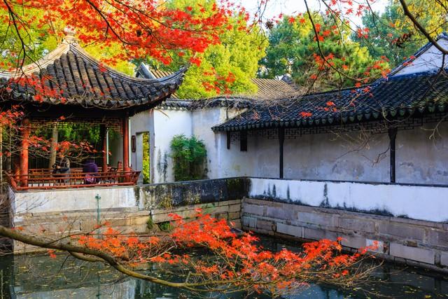 江苏深秋封神路线！红叶燃山野，银杏铺禅径，13城秋韵一次锁死