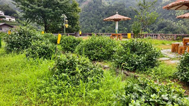 皖浙摩旅二人转——蜈蚣岭篇（下）