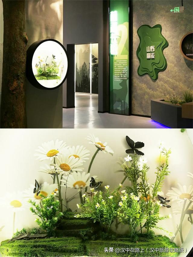 汉中巨型冰瀑奇观惊艳上线!