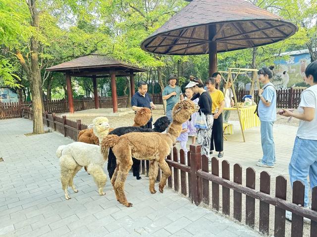 冬日遛娃无需远行,来紫谷萌宠乐园解锁超多趣味玩法!