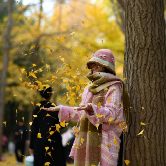 地坛银杏文化节明日开逛!秋日“赶集”天花板来啦→