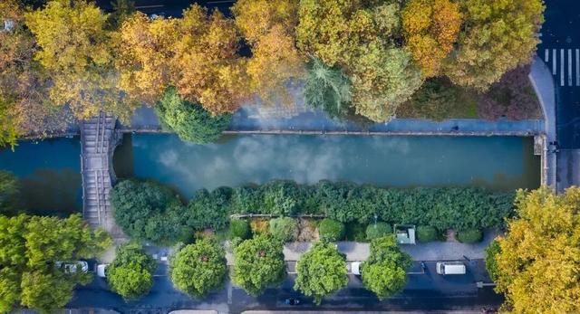 藏不住了！萧山的春天，美到犯规！