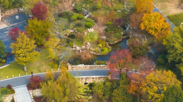 绝了！黄陂最被低估的宝藏赏秋地！