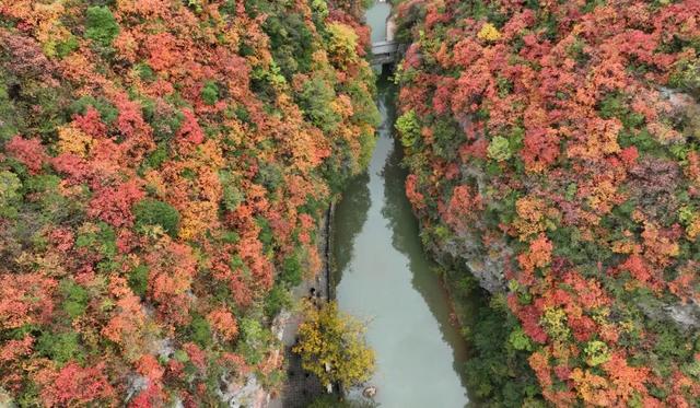 这才是秋天该有的样子~