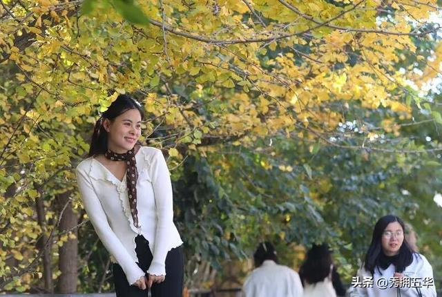 去版筑翠园，在“无尽梦银杏节”中打卡冬日休闲金色盛宴