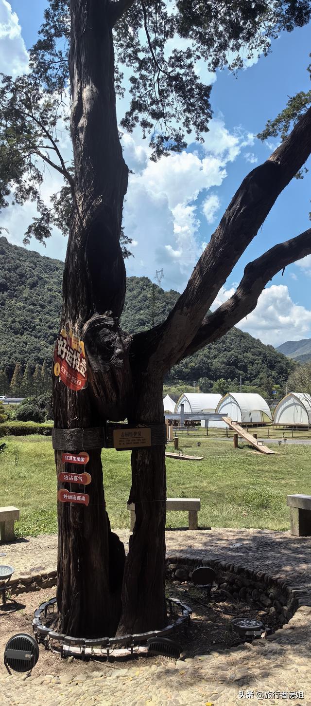 宁海雁苍山佛手台