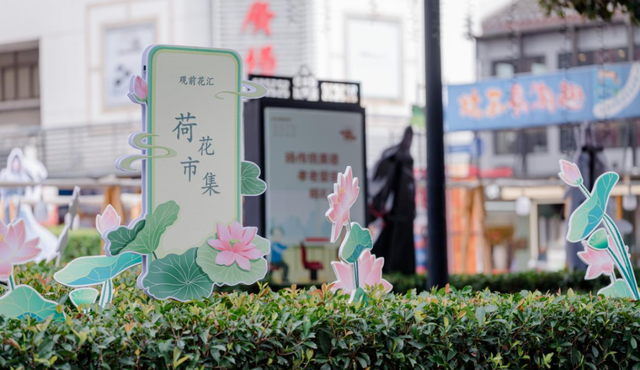 绝对“顶流”！这周末，苏州专门为TA过生日...
