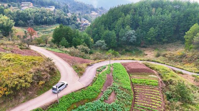 乡间行记:驱车穿行插腊村到岳溪镇,在弯弯山路中找回遗忘的时光