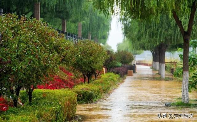 雨润临洮，秋光满故城