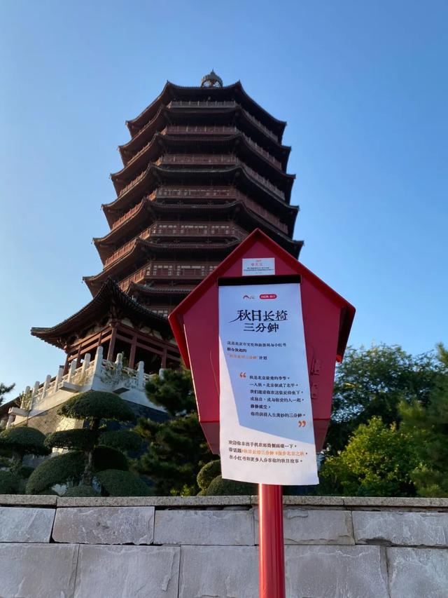 年度盘点：2025年丰台出彩瞬间