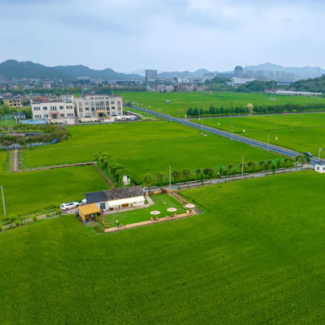 五一赴义桥｜三条专属游玩路线，解锁假日最惬意的打开方式