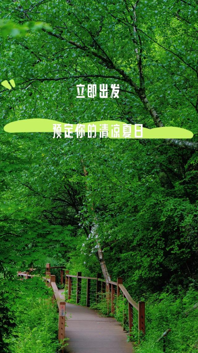 这个夏天，你与19℃的松坪沟只差一个出发！