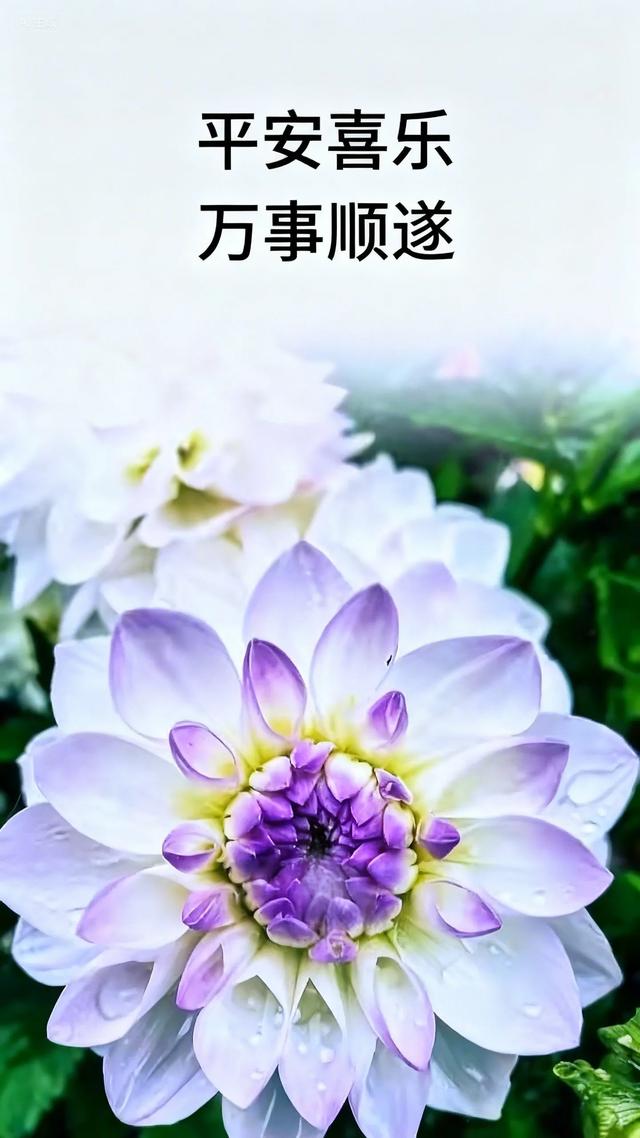 2025年9月16日早上好 早上好温馨问候语 早安精美淡雅图片 周二愉快