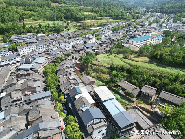四川行(68)古蜀道——金牛道60公里徒步⑤普安到翠云廊沿途航拍