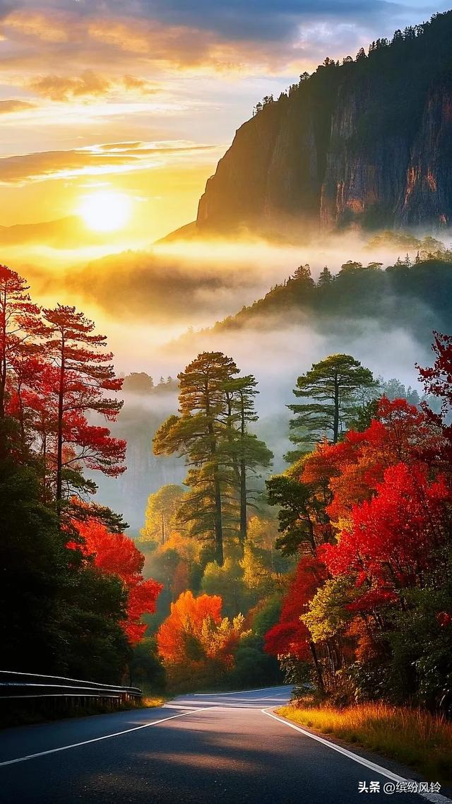 看看风如何把秋酿成诗