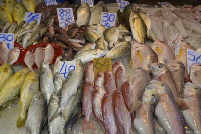 高市触红线遭反制，日本稀土困局难自救，技术依赖成软肋