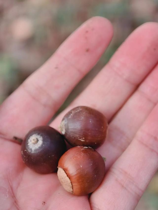 逛起来！8小时10个公园！