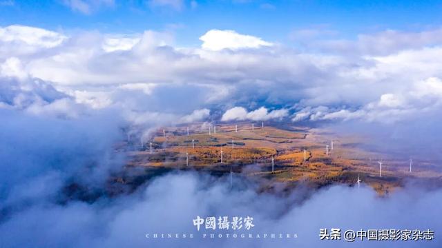 林树国｜塞罕坝林海之歌