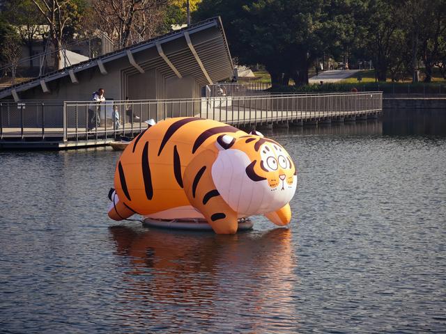 西丽湖绿道骑行随拍