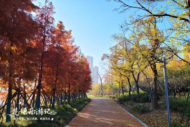 浙江宁波这处风景被人忽略，却有百里生态画廊之誉，秋色斑斓如画