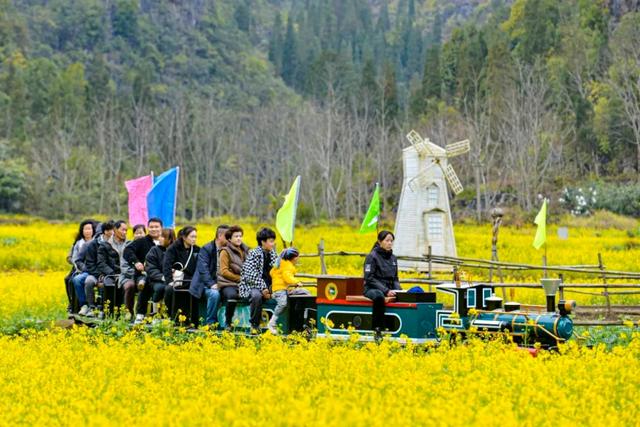贵州最早的春天在这里！6000亩油菜花开了，视觉效果非常震撼