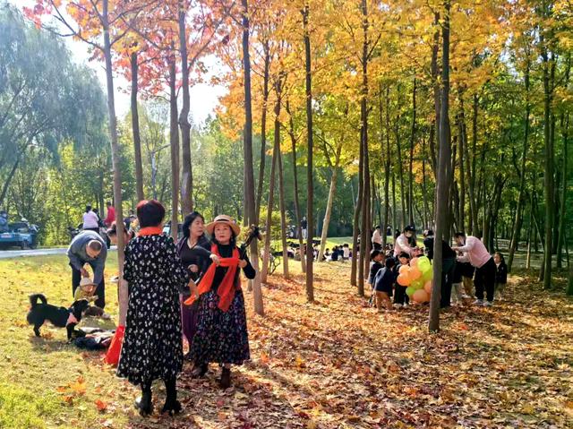 “枫”狂派对，现在进行时……