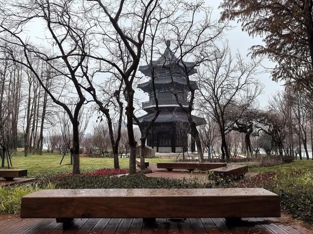 园冶杯参赛作品丨泰州市凤城河景区东南城河区域提升