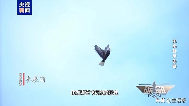 隐蔽性极强！未来战场看“鸟群”出击