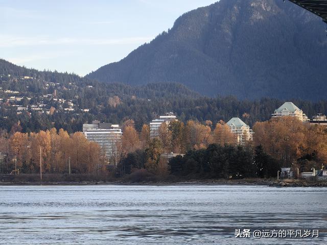 温哥华游记（四）