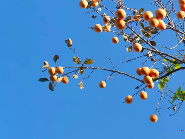 霜染秋深，向暖而行