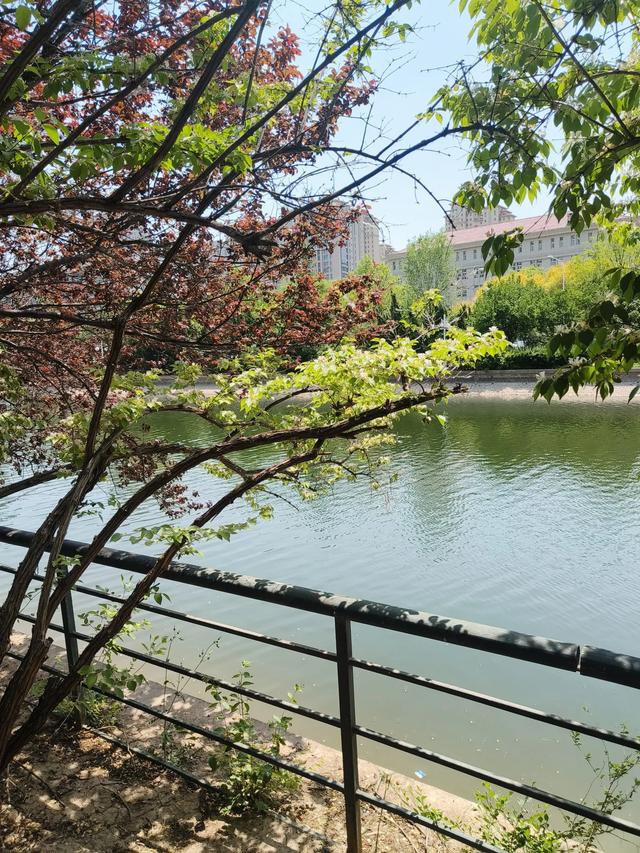 天津《复兴河公园》