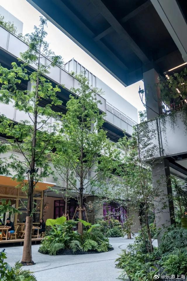 魔都中的绿洲，都市森林快来体验