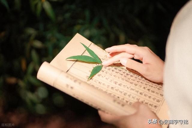 优秀网络小说推荐：一共10本，有老书也有新书，总有一本你喜欢的