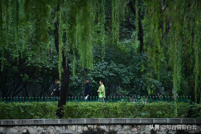 秋雨后，邂逅达活泉的浪漫