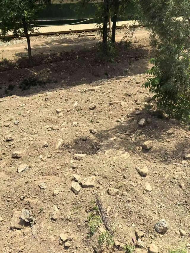 邺城苍苍白露微,世事翻覆黄云飞:邺城访古
