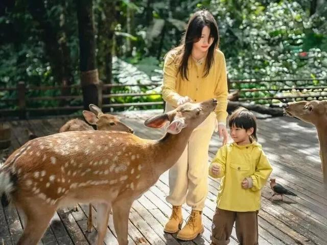 倒计时7天！解锁2025普洱茶咖博览会的N种宝藏玩法