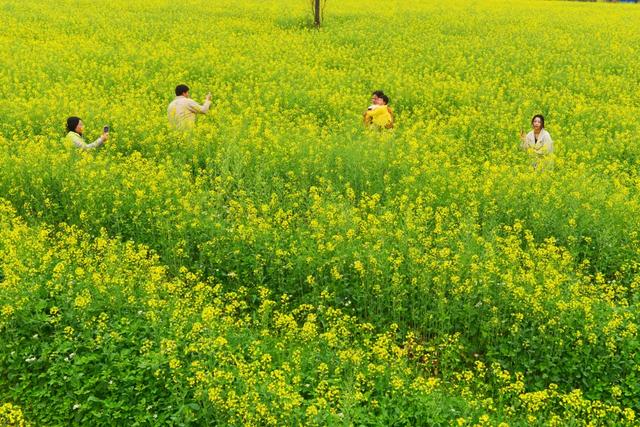 这才是过年!怀集春节文旅,直接“热辣滚烫”