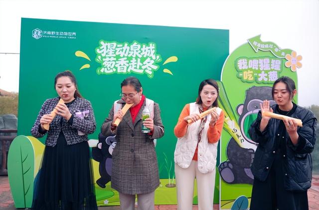 竟然因为吃葱走红！这个山东“明星”又开启吃播模式了……