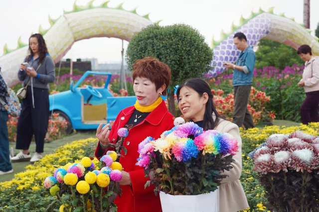 15万株绽放醉美菊花展，成都又美爆了！