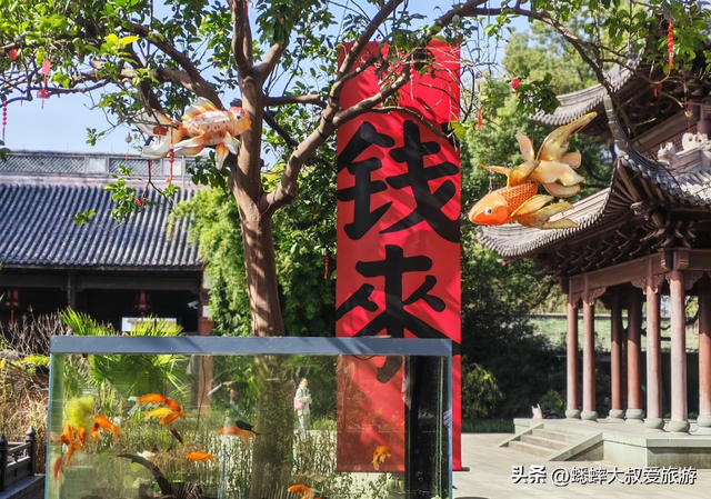 古风意境拉满，银杏披上黄金甲，这个杭州秋冬古祠，即将成顶流！