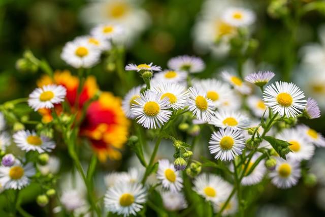 男人若是爱上了一个中年女人，他的反应，其实会是这样的，很真实